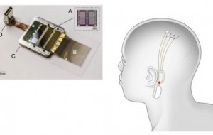 Elon Musk's Neuralink plans to implant thoughts-studying sensors in human brains next year