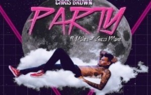 Chris Brown - Party